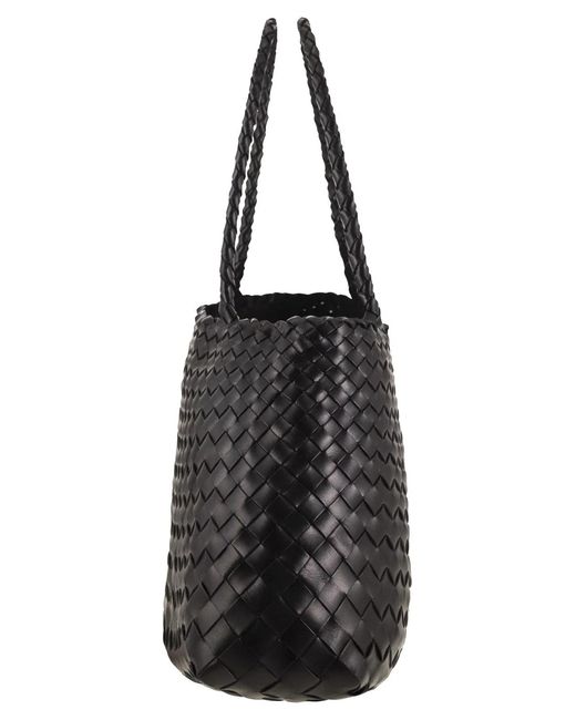 Dragon Black Santa Croce Big