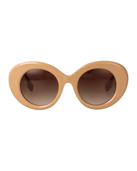 Burberry Brown Acetate Sunglasses