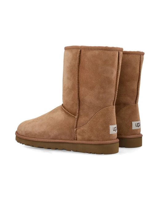 Ugg Brown Classic Short Boots for men