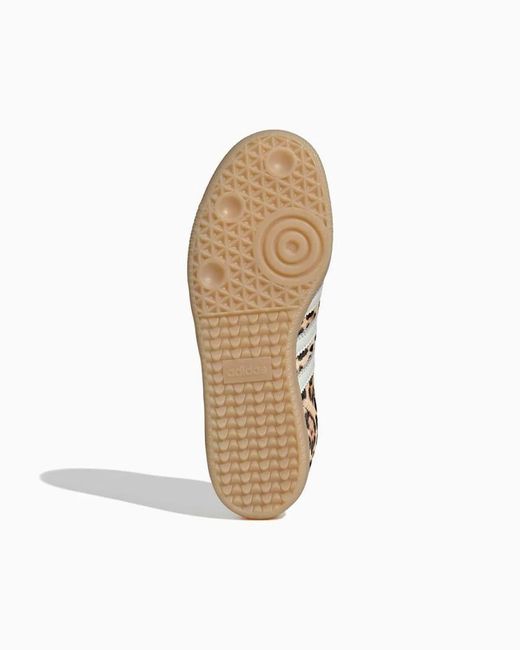 Adidas Originals Brown Samba Og W