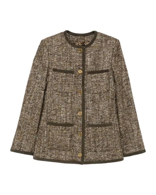 Golden Goose Deluxe Brand Brown Golden Goose
