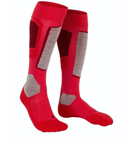 Falke Red Sk4