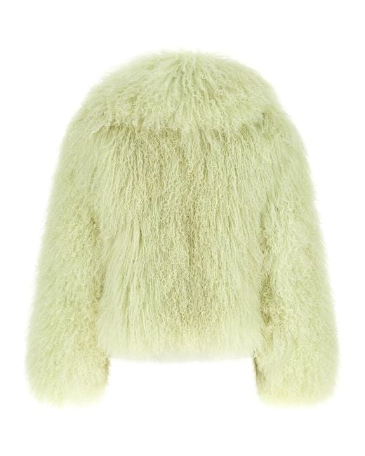 Blancha Yellow 'Mongolia' Fur