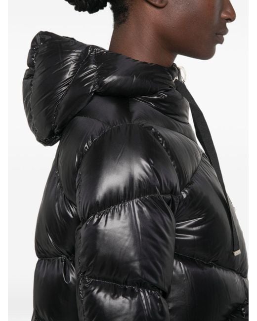 Herno Black Short Down Jacket