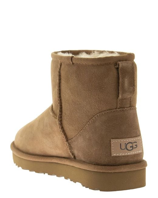 Ugg Brown Mini Classic Ii