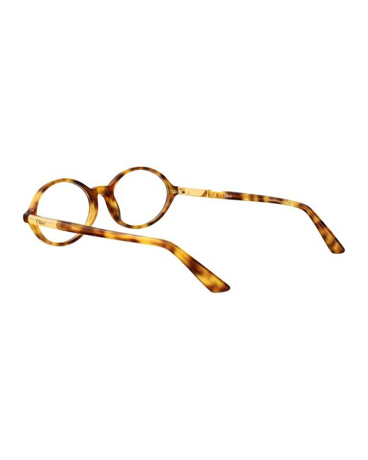 Chloé Brown Havana-Havana-Transparent Acetate Glasses