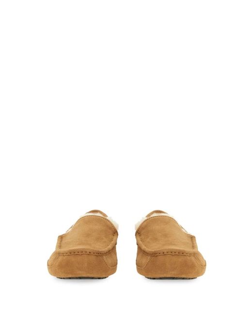 Ugg Brown Slip-On Loafer "Linscot" for men