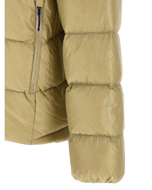 Patagonia Green 'Fitz Roy Down Jacket Down Jacket for men