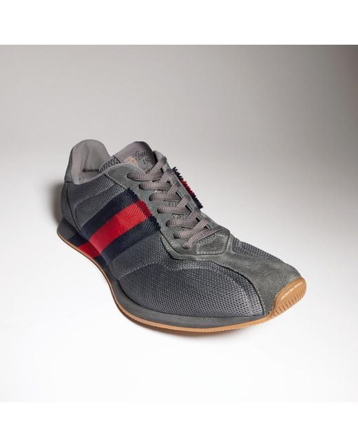 Gucci Gray Low-Top Striped Casual Sneakers for men