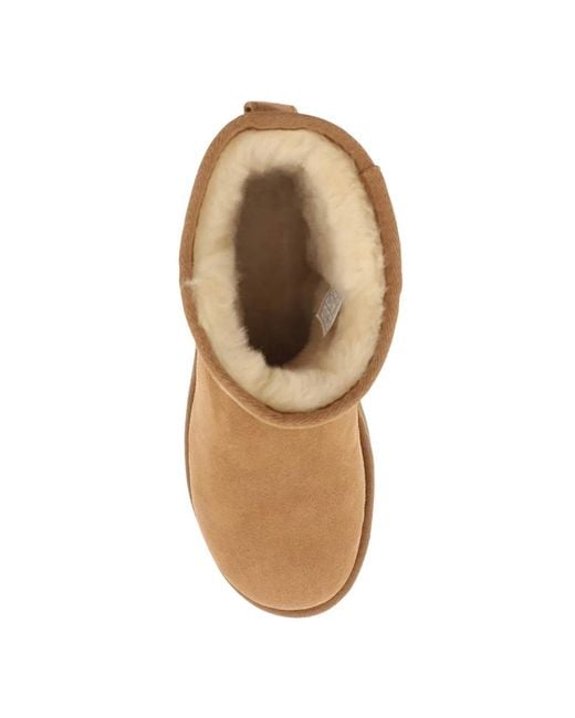 Ugg Brown Mini Classic Ii