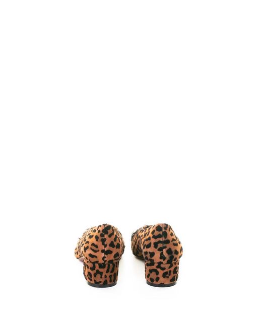 Roberto Festa Brown Leopard Suede Pumps