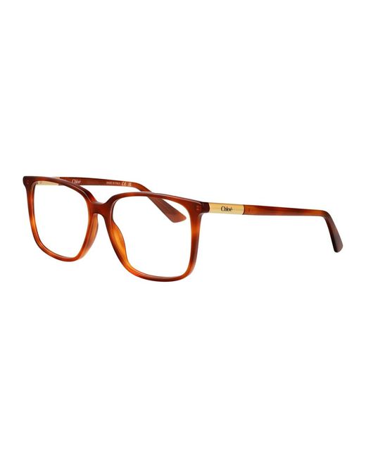 Chloé Brown Havana-Havana-Transparent Acetate Glasses