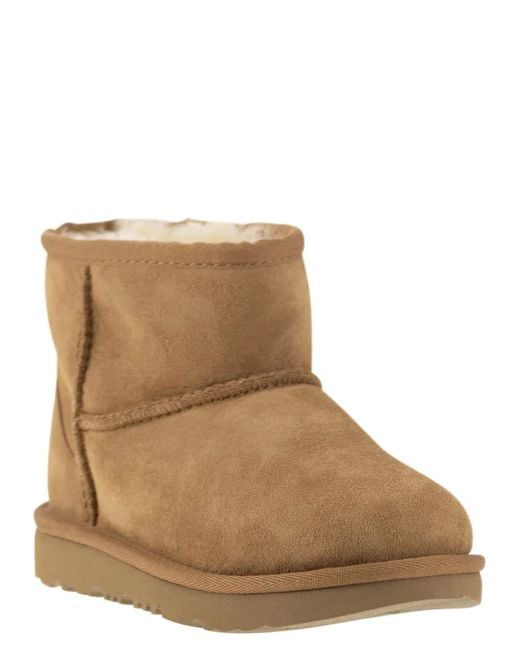 Ugg Brown Classic Mini Ii