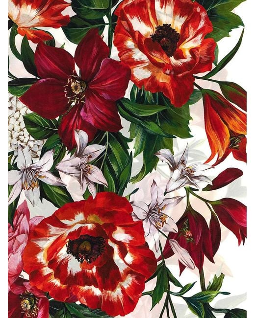 Dolce & Gabbana Pink Dolce & Gabbana Floral Print Scarf