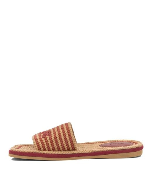 Chloé Brown "Sand" Slide