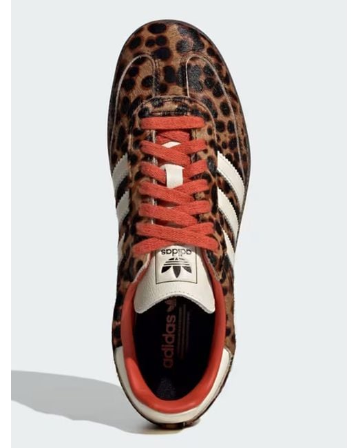Adidas Originals Brown Samba Og Shoes