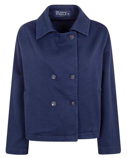 CIGALA'S Blue Jacket Redcapsule"