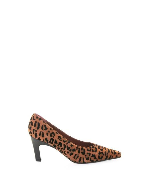 Roberto Festa Brown Leopard Suede Pumps
