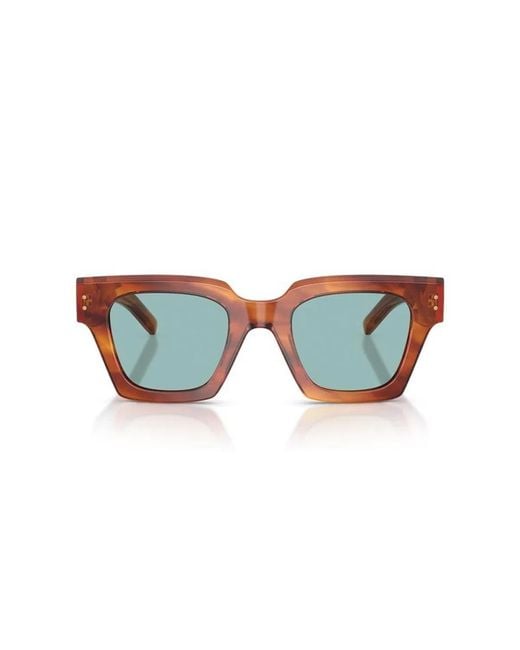 Dolce & Gabbana Brown Dolce & Gabbana Dolce & Gabbana Dg4413 322180 for men