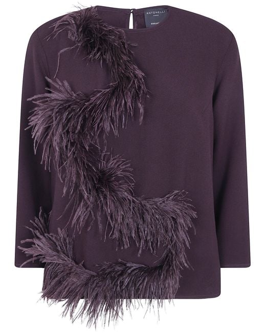 Antonelli Purple "Mango" Round Neck Top