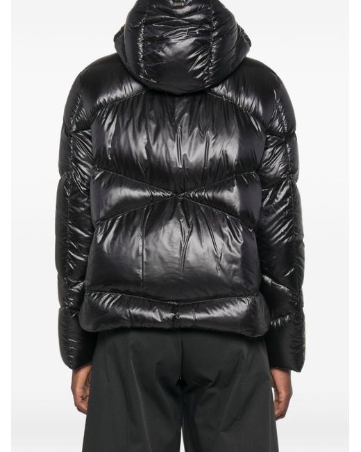 Herno Black Short Down Jacket