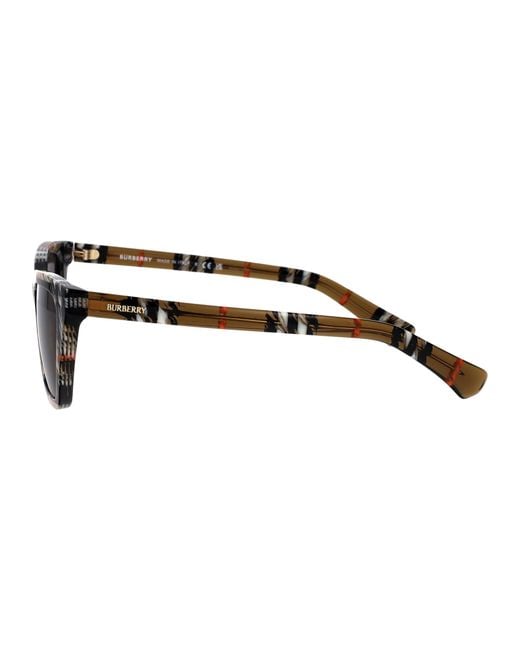 Burberry Brown Acetate Sunglasses