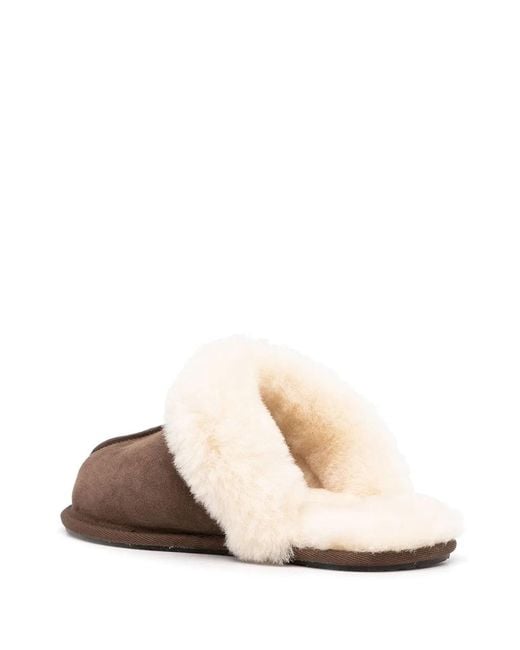 Ugg Brown Ciabatta Scuffette Ii