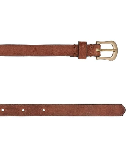 Golden Goose Deluxe Brand Brown Trinidad Belt