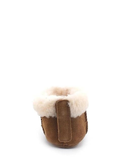Ugg Brown Boot "Gojee"