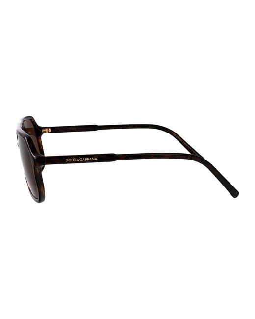 Dolce & Gabbana Brown Dolce & Gabbana Acetate Sunglasses