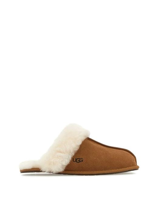 Ugg Brown Ciabatta Scuffette Ii