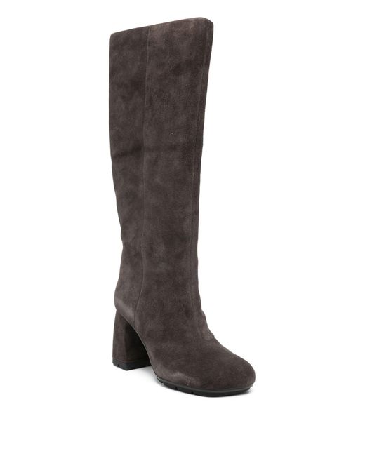 Ash Brown Combo:A Suede Velours C1