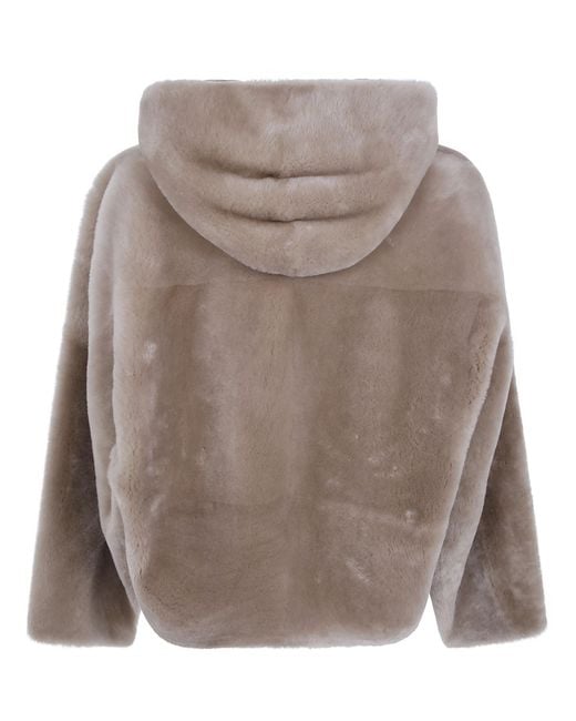 Blancha Brown Straight Merino Shearling Jacket