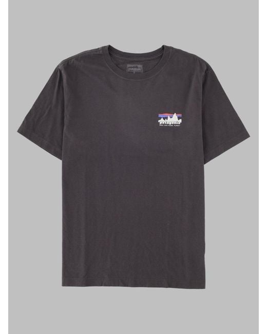 Patagonia Gray Patagonia for men