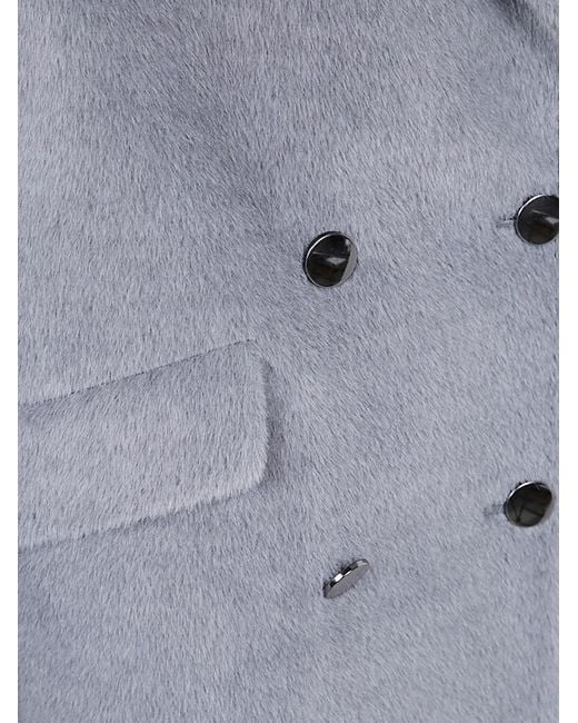 Tagliatore Gray Ariane Coat