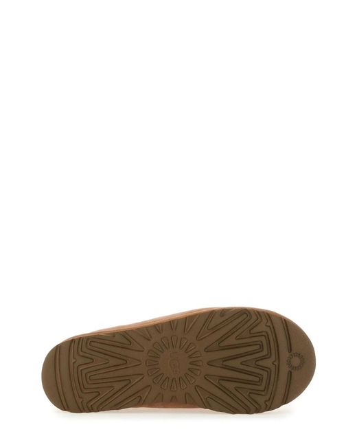 Ugg Brown Slipper Tasman Ii for men