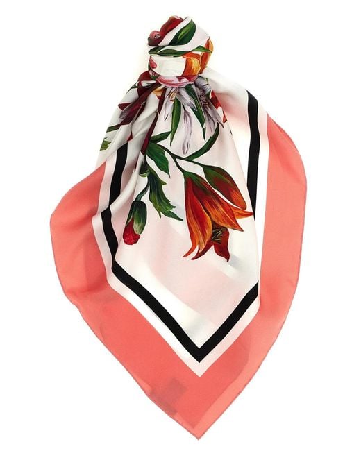 Dolce & Gabbana Pink Dolce & Gabbana Floral Print Scarf