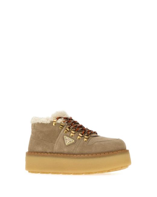 Prada Brown Evolve