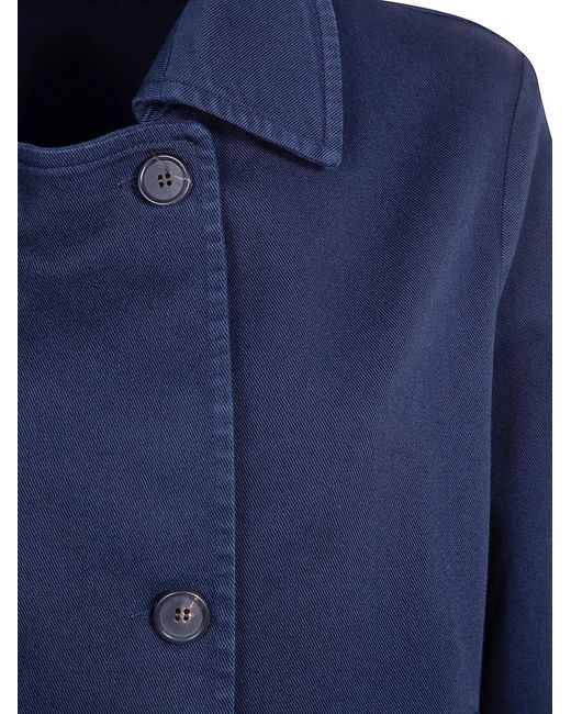 CIGALA'S Blue Jacket Redcapsule"