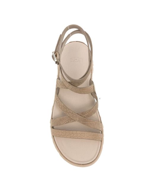 Ugg Natural W Goldengaze Embossed Ankle Wrap