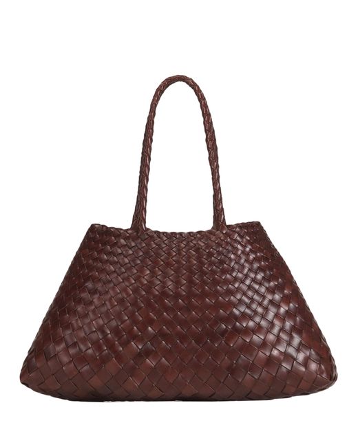 Dragon Brown Santa Croce Big
