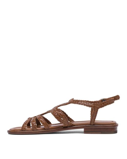 Pons Quintana Brown Sandals