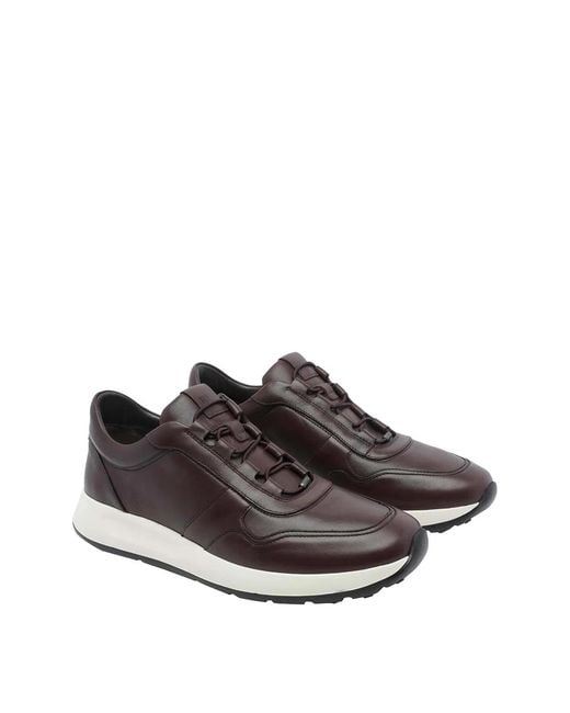 Tod's Brown Dot Sneakers for men