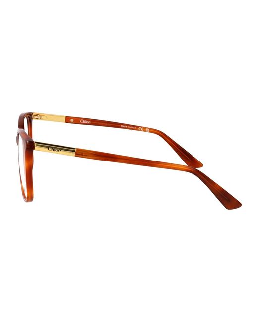 Chloé Brown Havana-Havana-Transparent Acetate Glasses