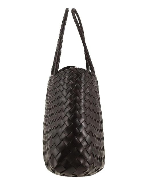 Dragon Black Santa Croce Small