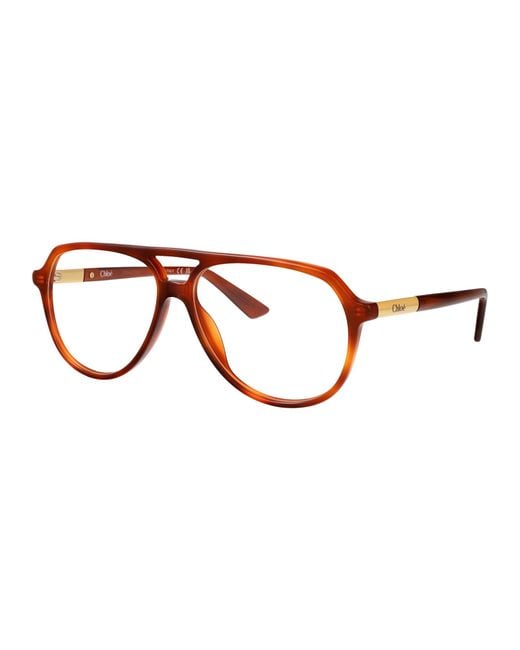 Chloé Brown Havana-Havana-Transparent Acetate Glasses