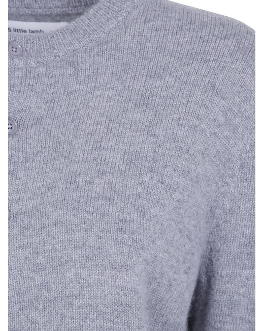 Extreme Cashmere Blue "Little Lamb N.435" Cardigan