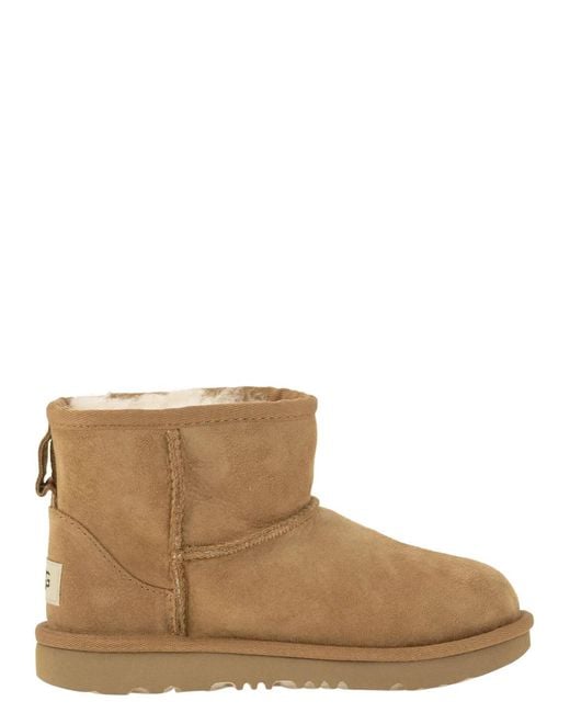 Ugg Brown Classic Mini Ii