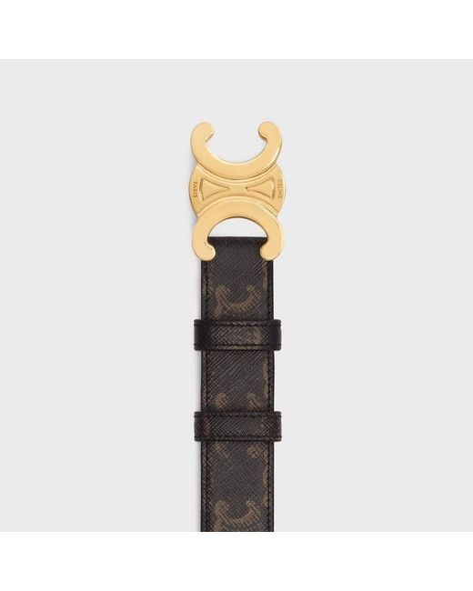 Céline Multicolor Medium Triomphe Belt