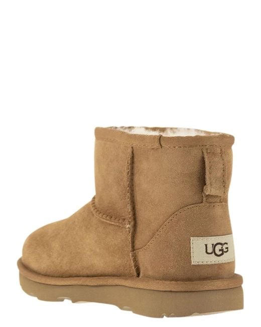Ugg Brown Classic Mini Ii